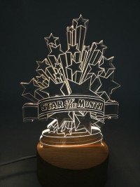 EG17001 2D Star Awards Led Light  