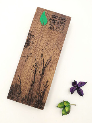 TPW923026 Tall Wooden Award Trophy